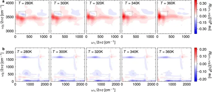 Two-Dimensional Infrared-Raman Spectroscopy