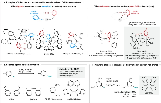 Spirobipyridine Ligand