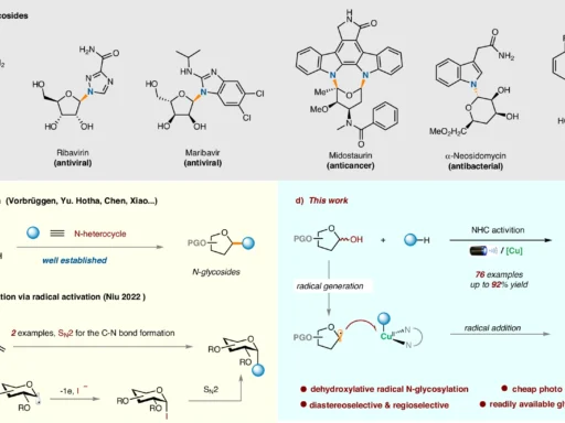 N-glycosylation