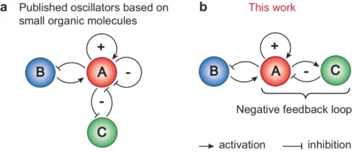 Selenium Catalysis