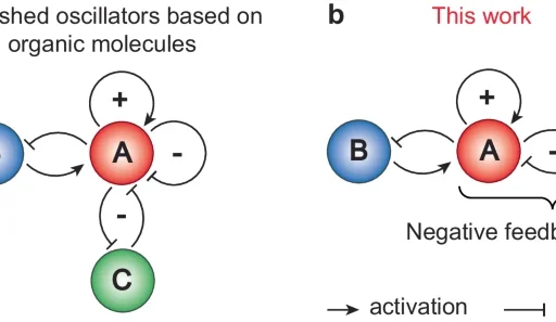 Selenium Catalysis