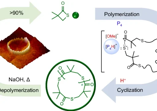 proton-triggered transformation