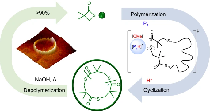 proton-triggered transformation