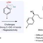 para- to meta-isomerization of phenols