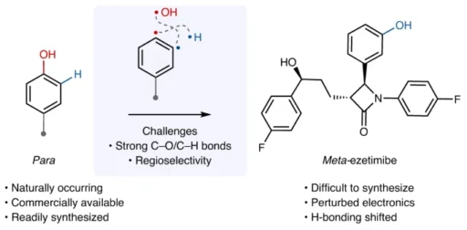 para- to meta-isomerization of phenols