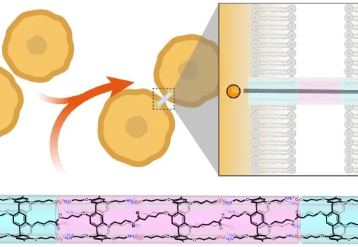 Artificial gap junctions