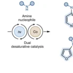 Desaturative catalysis