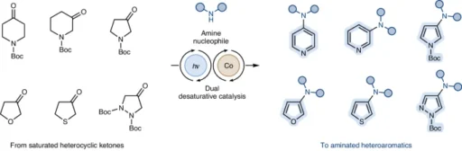 Desaturative catalysis