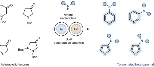 Desaturative catalysis