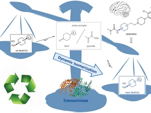 Transaminase-Catalysis