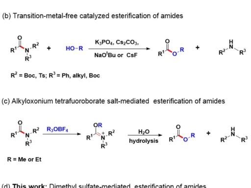 amide esterification