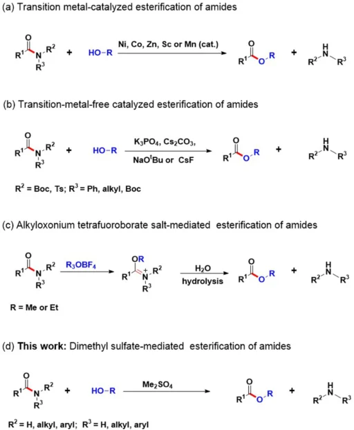 amide esterification