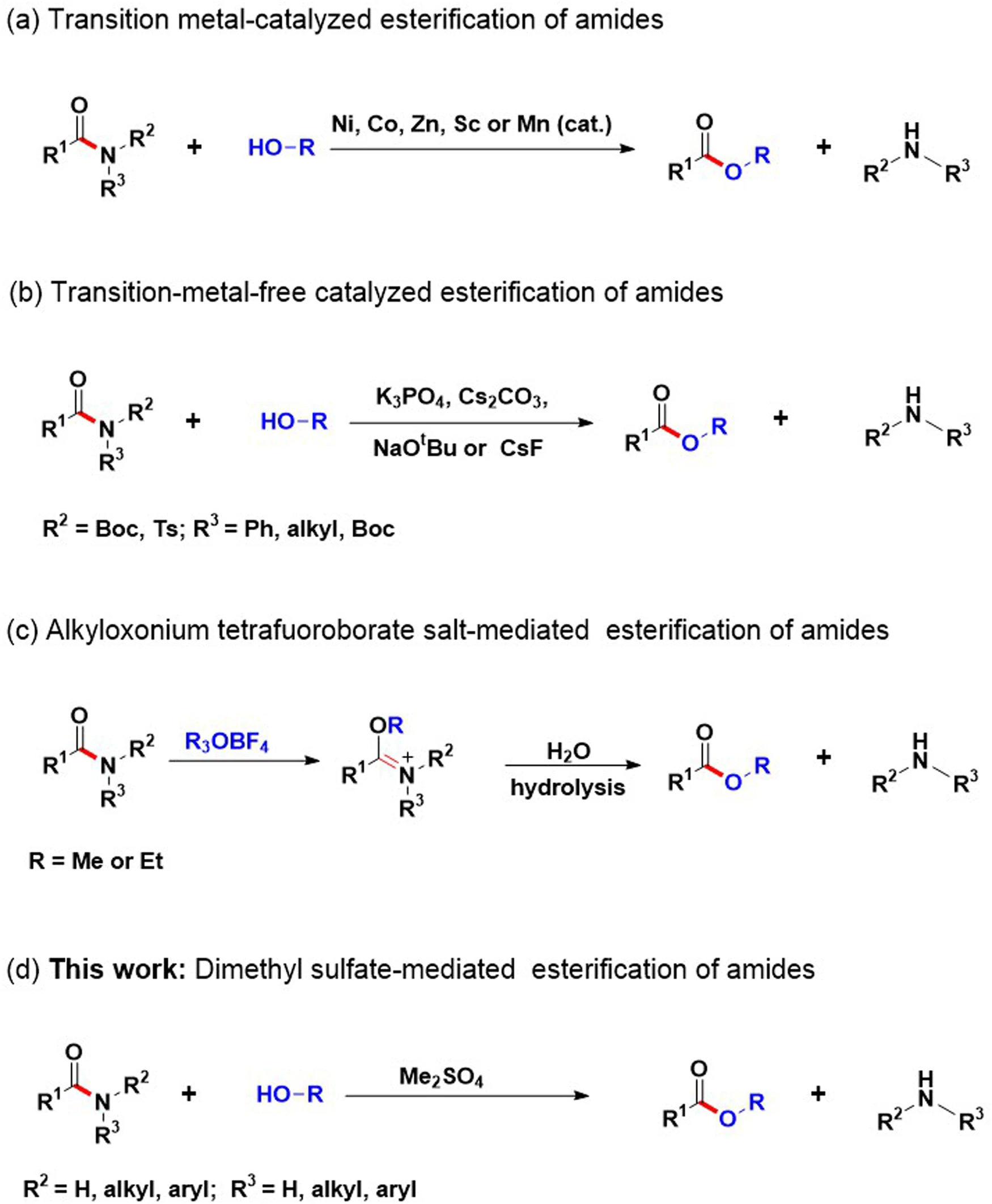 amide esterification