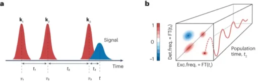 Two-Dimensional Electronic Spectroscopy