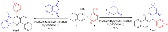 Benzoacridines and Indenoquinolines