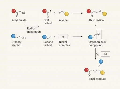 Trio of Radicals Choreographed for Versatile Chemical Reaction