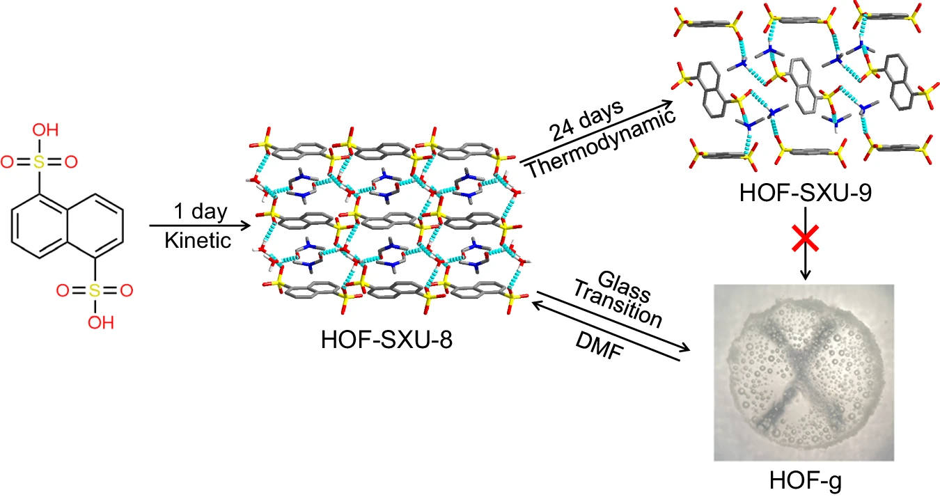 Hydrogen-bonded organic frameworks