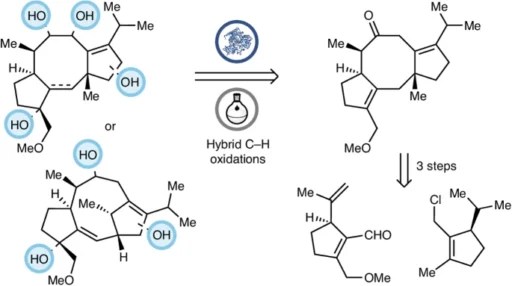 modular chemoenzymatic synthesis