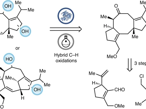 modular chemoenzymatic synthesis