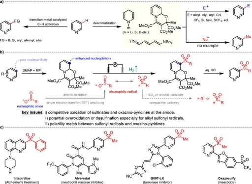 Meta-C-H Sulfonylation