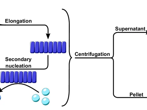 α-Synuclein Oligomers