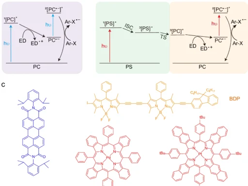 Effective Photoredox catalysis