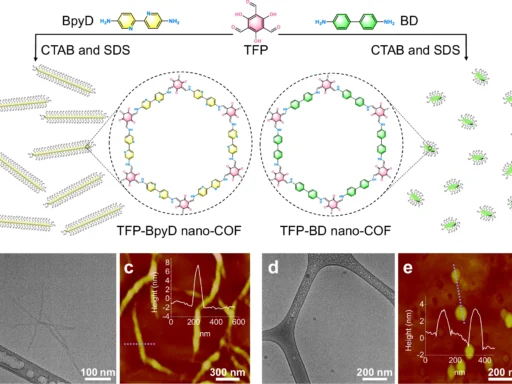 Covalent Organic Frameworks