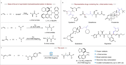 Hydroaminocarbonylation