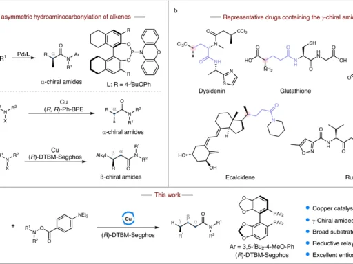 Hydroaminocarbonylation