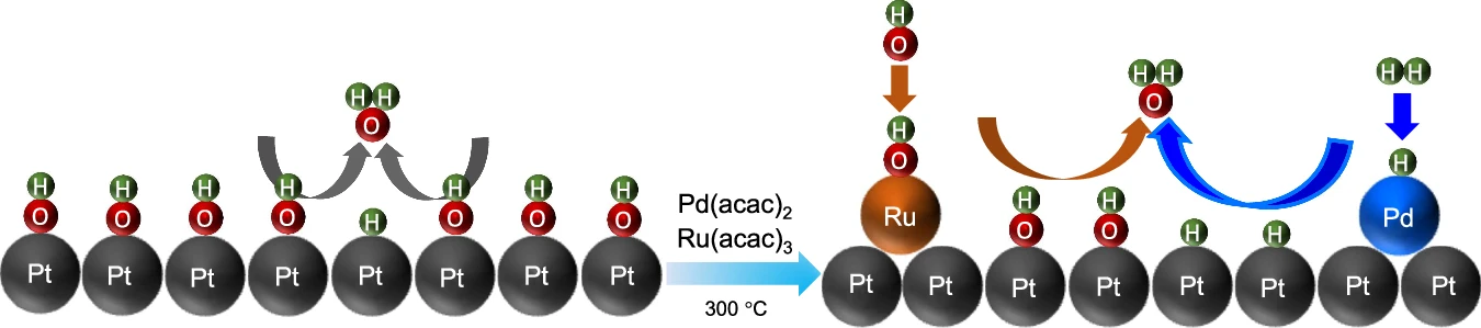 Hydrogen Oxidation