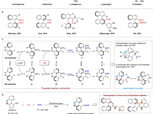 Aminocarbonylation