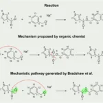 Mechanistic Pathways of Organic Reactions