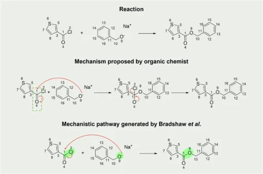 Mechanistic Pathways of Organic Reactions