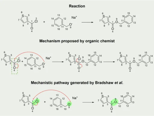 Mechanistic Pathways of Organic Reactions