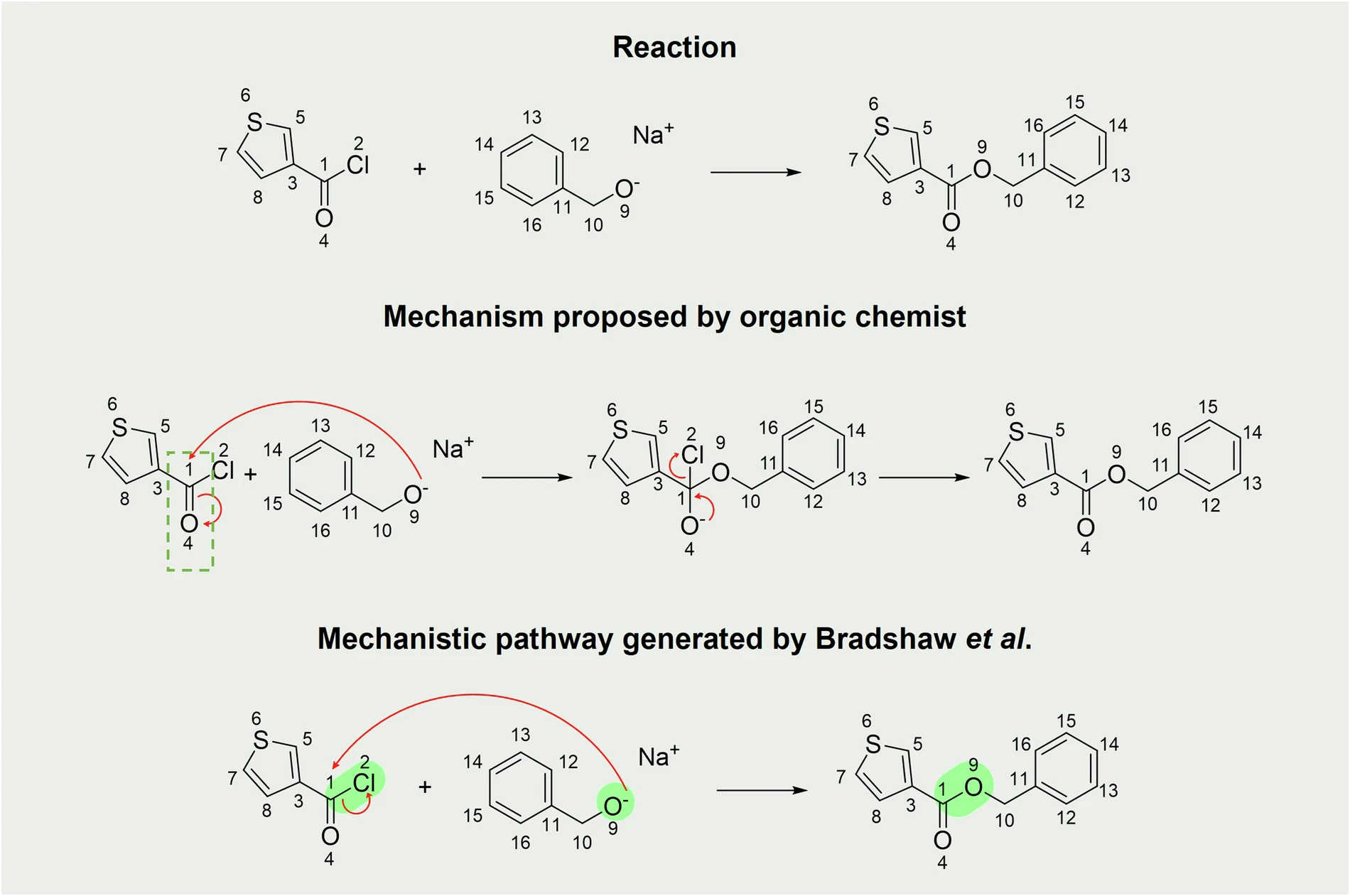 Mechanistic Pathways of Organic Reactions