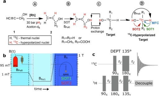 Nuclear Spin Polarization