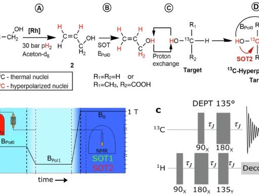 Nuclear Spin Polarization