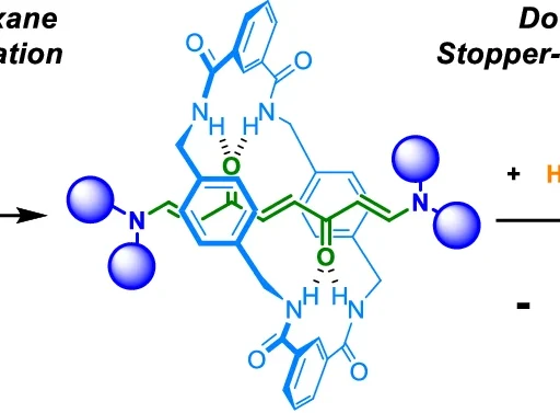 Rotaxanes