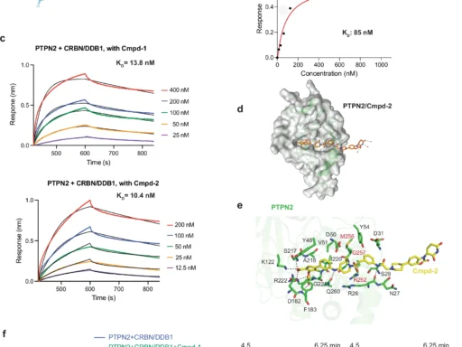 PTPN2/N1 Complex