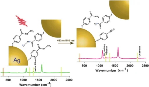 Plasmon-Driven