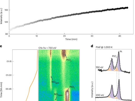 Two-Dimensional Crystalline Platinum Oxide