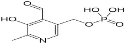 Vitamin B6