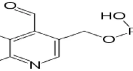 Vitamin B6