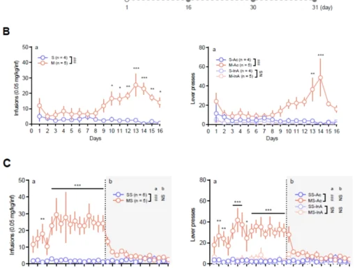 Targeted Metabolomics