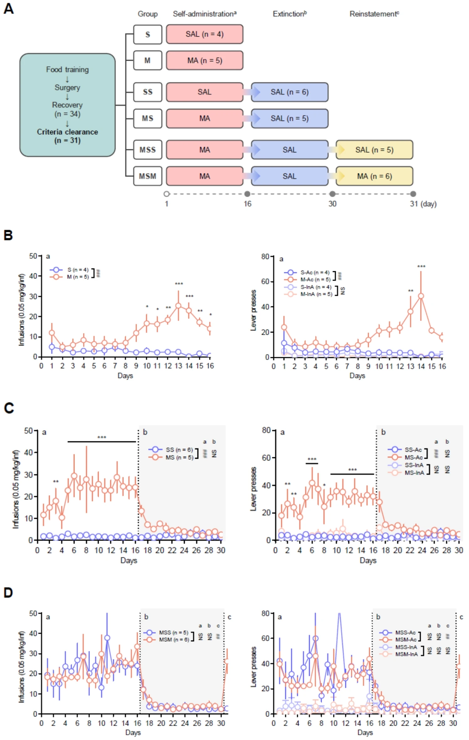 Targeted Metabolomics