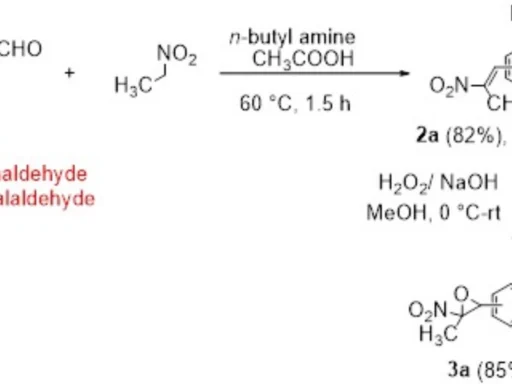 Synthesis of Bisnitroepoxides