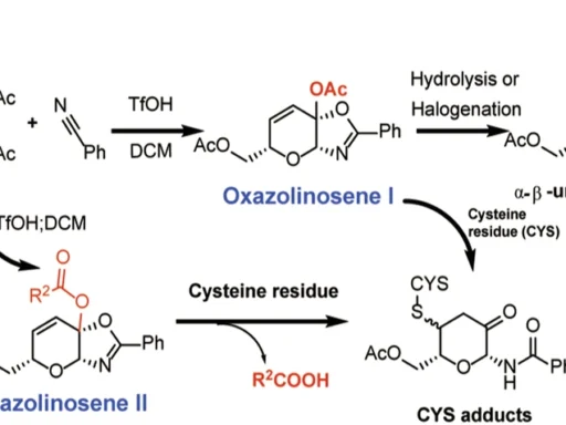 Ketalized Unsaturated Saccharides