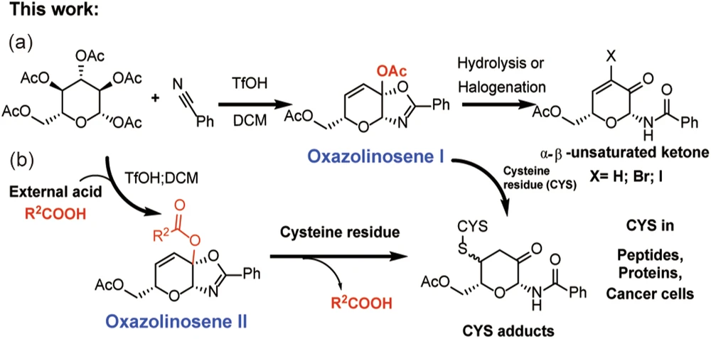 Ketalized Unsaturated Saccharides