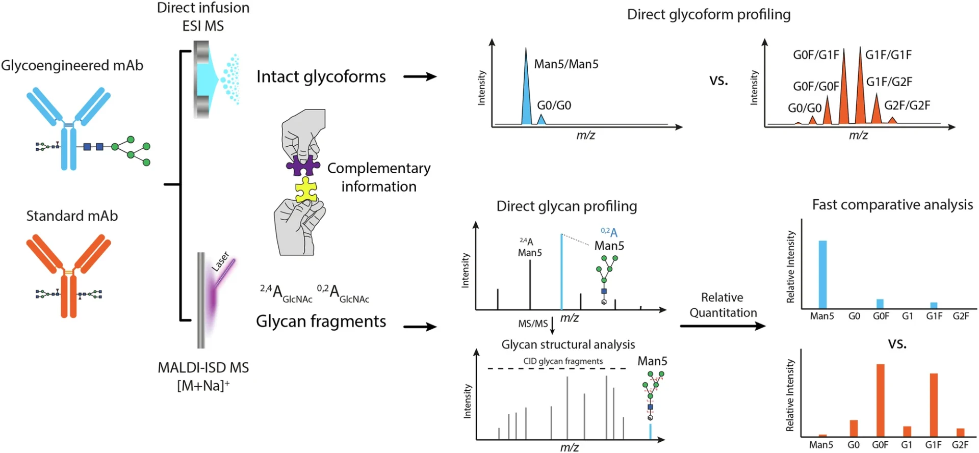 Glycosylation Analysis