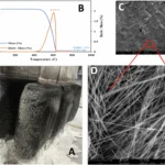 Carbonate Decarbonization